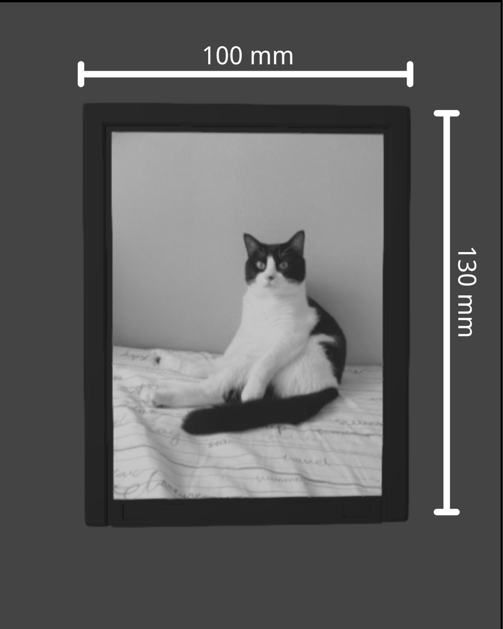 Personalized Pet Night Light - Custom Relief Night Light V2.0