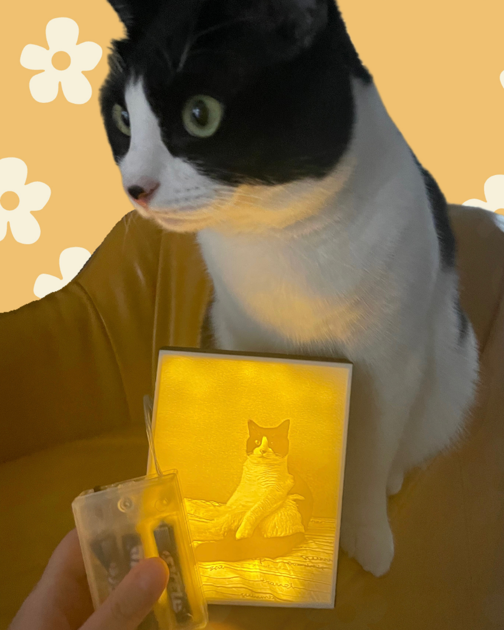 Personalized Pet Night Light - Custom Relief Night Light V2.0