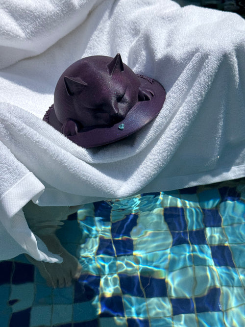 TravelStar Companion - Portable Pet Urn for Travel | Hand-Engraved Memorial for Ashes | Personalized Keepsake for Dogs & Cats